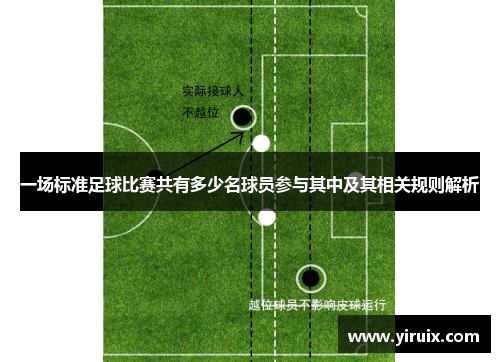 一场标准足球比赛共有多少名球员参与其中及其相关规则解析